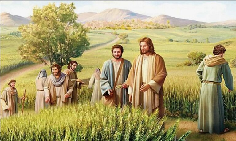 Исследуйте Писания, ибо вы думаете чрез них иметь жизнь вечную. Иоанна 5:39