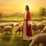 skrinshot-26.06.24_16.14.49