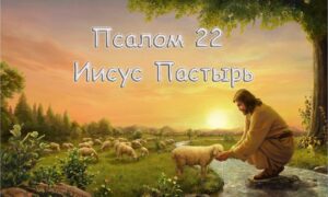 skrinshot-26.06.24_17.11.58