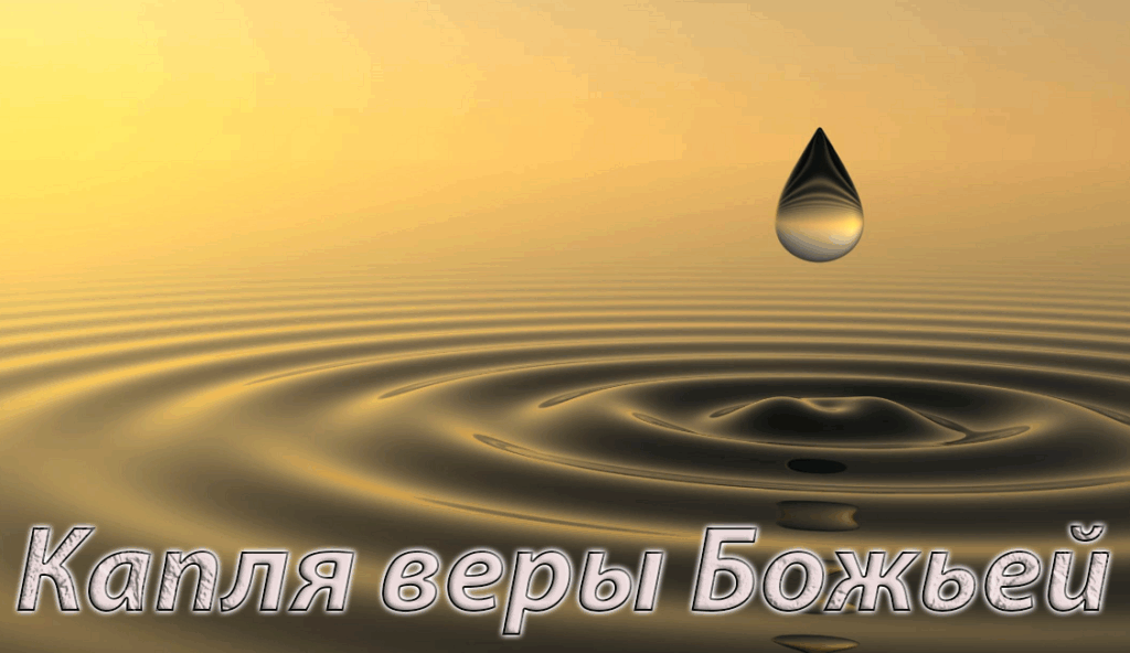 Главная