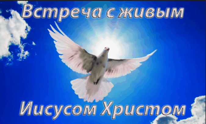 Главная